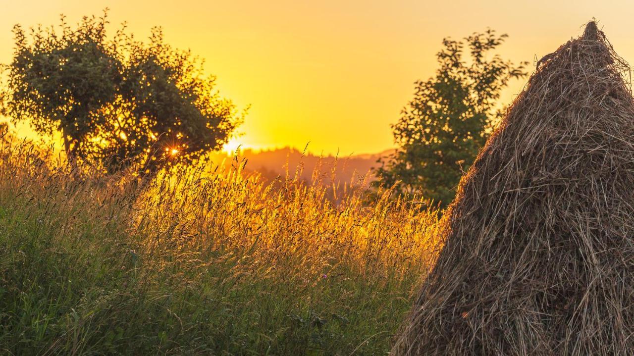 Casa De Vacanta Armi Molidu Exteriér fotografie