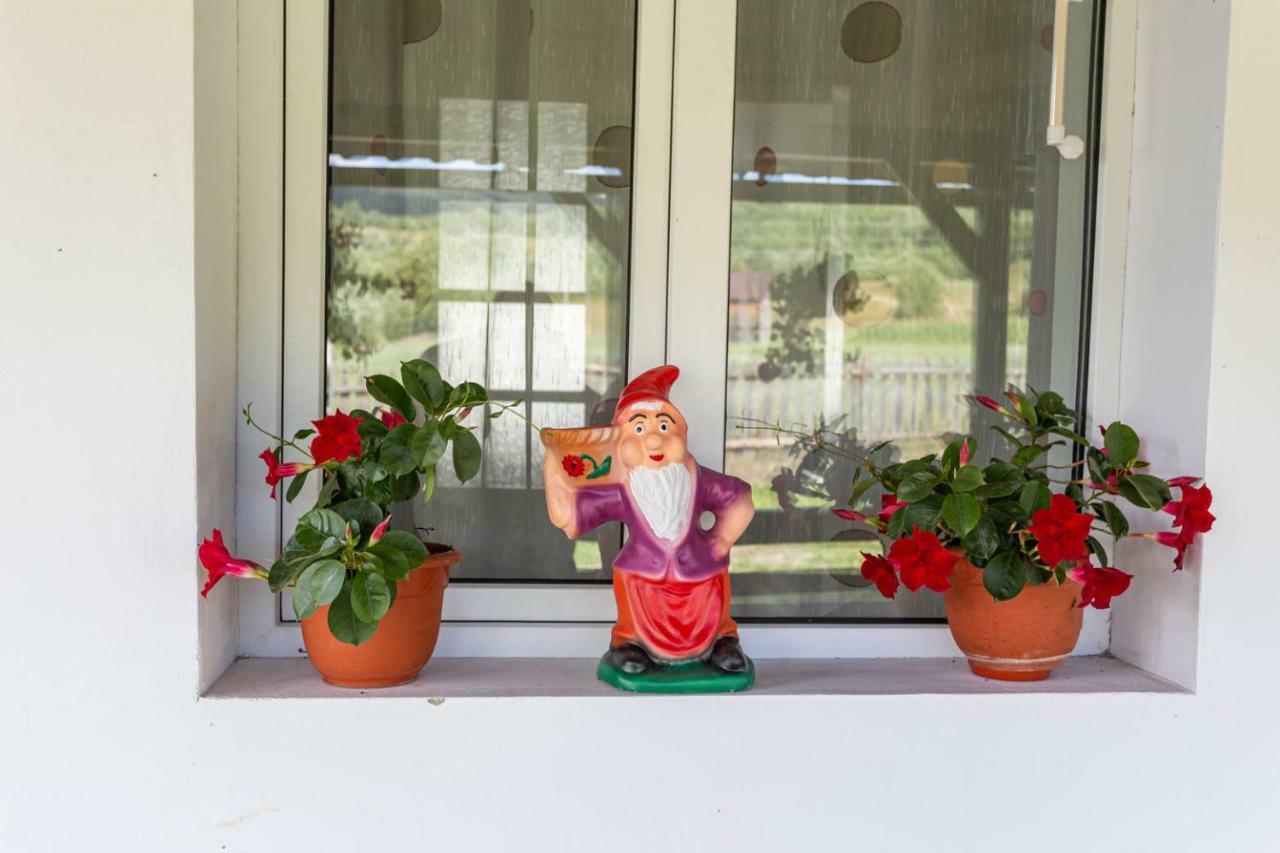 Casa De Vacanta Armi Molidu Exteriér fotografie