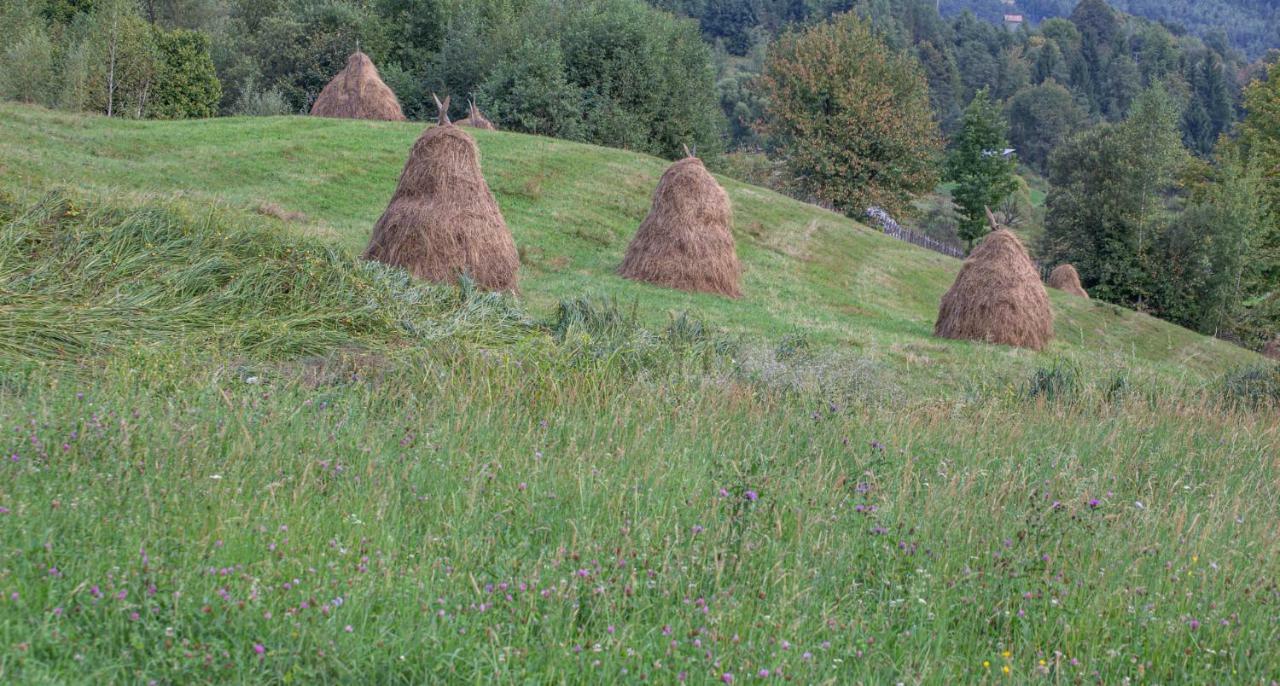 Casa De Vacanta Armi Molidu Exteriér fotografie